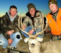 Nebraska Mule Deer