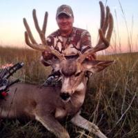 Nebraska Mule Deer