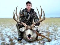 Nebraska Mule Deer