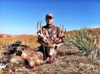 Nebraska Mule Deer