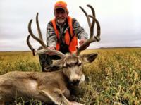 Nebraska Mule Deer