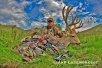 Nebraska Mule Deer