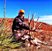 Nebraska Mule Deer