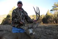 New Mexico Mule Deer