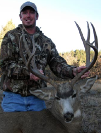 New Mexico Mule Deer