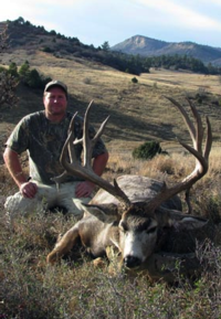 New Mexico Mule Deer