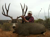 West Texas Desert Mule Deer