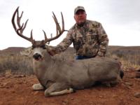 West Texas Desert Mule Deer