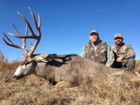 West Texas Desert Mule Deer