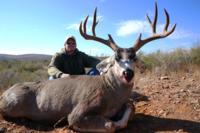 West Texas Desert Mule Deer