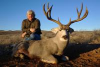 West Texas Desert Mule Deer