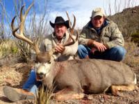 West Texas Desert Mule Deer