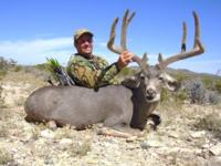 West Texas Desert Mule Deer