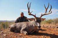 West Texas Desert Mule Deer