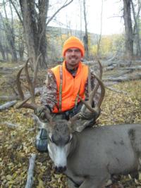 Wyoming Mule Deer | Southcentral Wyoming