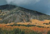 Wyoming Mule Deer | Southcentral Wyoming