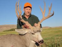 Wyoming Mule Deer | Southcentral Wyoming