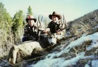 Wyoming Mule Deer | Southcentral Wyoming