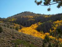 Wyoming Mule Deer | Southcentral Wyoming