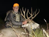 Wyoming Mule Deer | Southcentral Wyoming