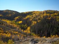 Wyoming Mule Deer | Southcentral Wyoming