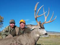 Wyoming Mule Deer | Southcentral Wyoming