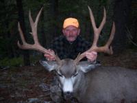 Wyoming Mule Deer | Southcentral Wyoming