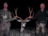 Wyoming Mule Deer | Southcentral Wyoming