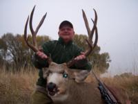 Wyoming Mule Deer | Southcentral Wyoming