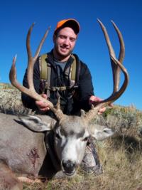 Wyoming Mule Deer | Southcentral Wyoming