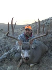 Wyoming Mule Deer | Southcentral Wyoming