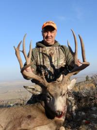 Wyoming Mule Deer | Southcentral Wyoming