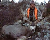 Wyoming Mule Deer | Southcentral Wyoming