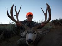 Wyoming Mule Deer | Southcentral Wyoming