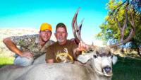 Wyoming Mule Deer | North Central Wyoming