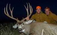 Wyoming Mule Deer | North Central Wyoming