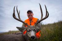 Wyoming Mule Deer | North Central Wyoming