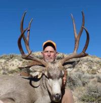 Wyoming Mule Deer | North Central Wyoming