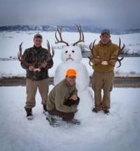 Wyoming Mule Deer | North Central Wyoming