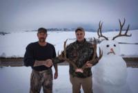 Wyoming Mule Deer | North Central Wyoming