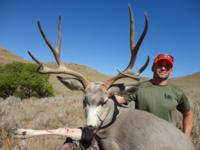 Wyoming Mule Deer | North Central Wyoming