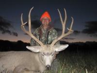 Wyoming Mule Deer | North Central Wyoming