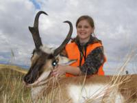 Wyoming Mule Deer | North Central Wyoming