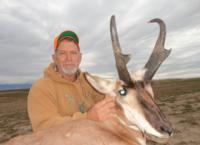 Wyoming Mule Deer | North Central Wyoming