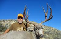 Wyoming Mule Deer | North Central Wyoming