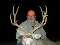 Wyoming Mule Deer | North Central Wyoming