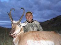 Wyoming Mule Deer | North Central Wyoming