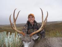 Wyoming Mule Deer | North Central Wyoming