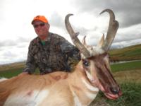 Wyoming Mule Deer | North Central Wyoming