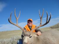 Wyoming Mule Deer | North Central Wyoming